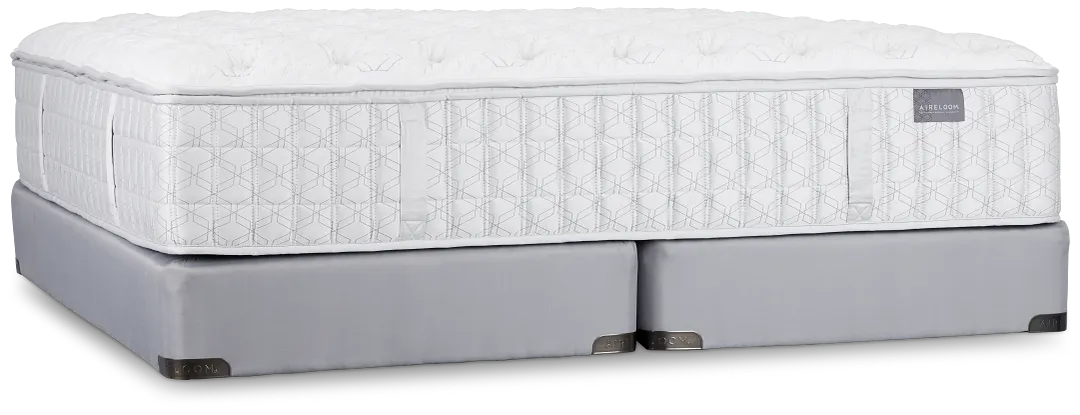 Aireloom Timeless Odyssey Luxetop M2 Plush Mattress Set