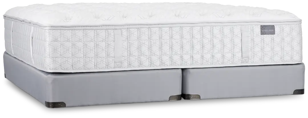 Aireloom Timeless Odyssey Luxetop M2 Plush Mattress Set Aireloom Timeless Odyssey Luxetop M2 Plush Mattress Set