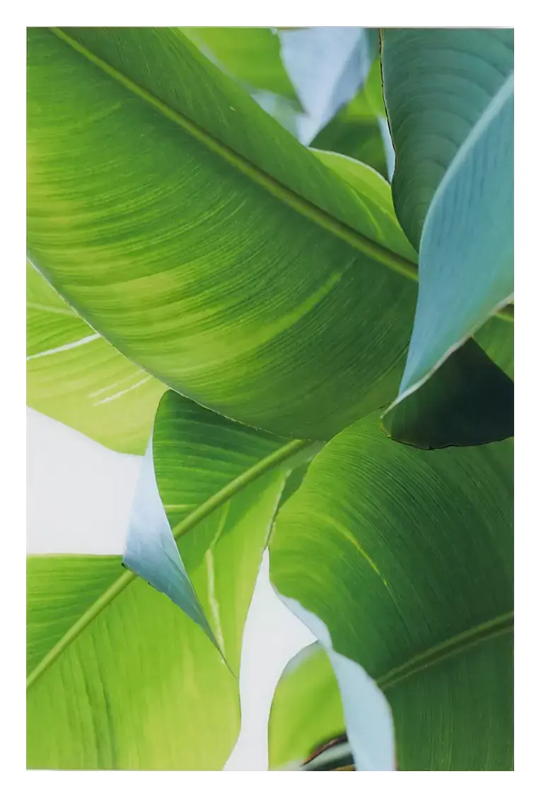 Kai Green Acrylic Wall Art Kai Green Acrylic Wall Art