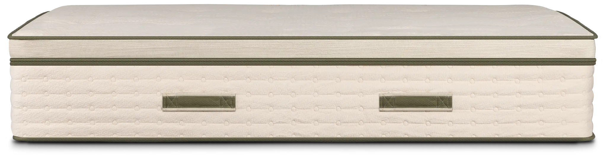 Avocado Green 15.50" Plush Box Top Mattress Avocado Green 15.50" Plush Box Top Mattress