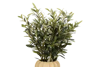 Olive 30" Floral Arrangement