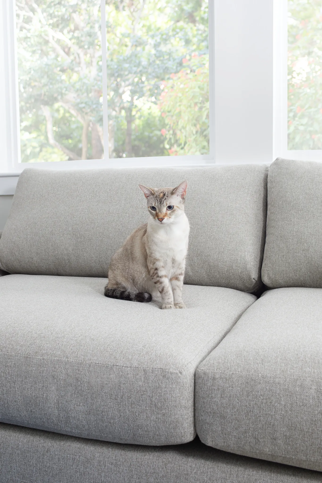 Noah Khaki Fabric Sofa