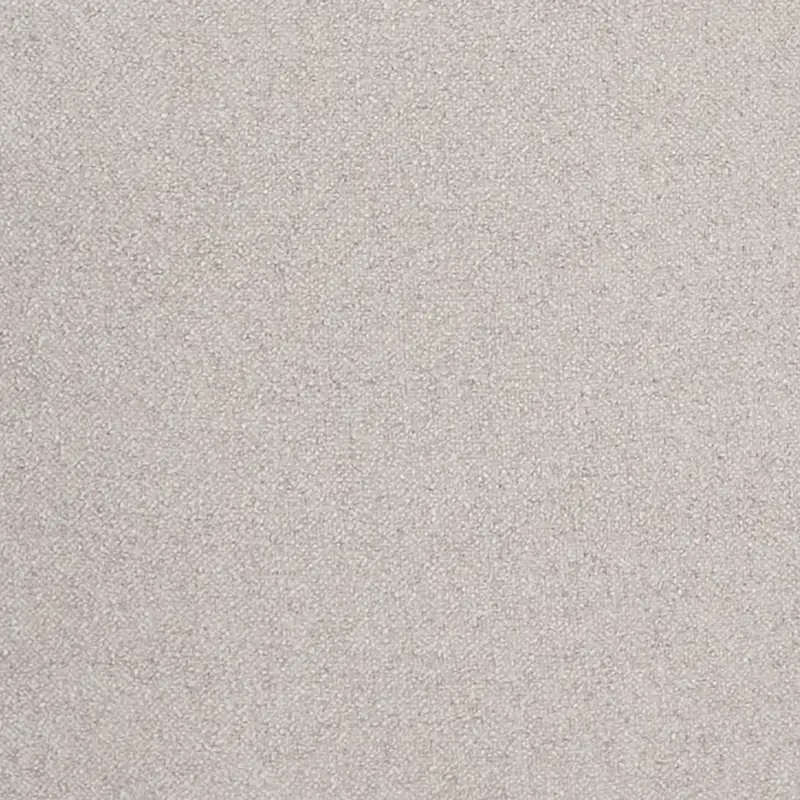 Light Gray Light Gray