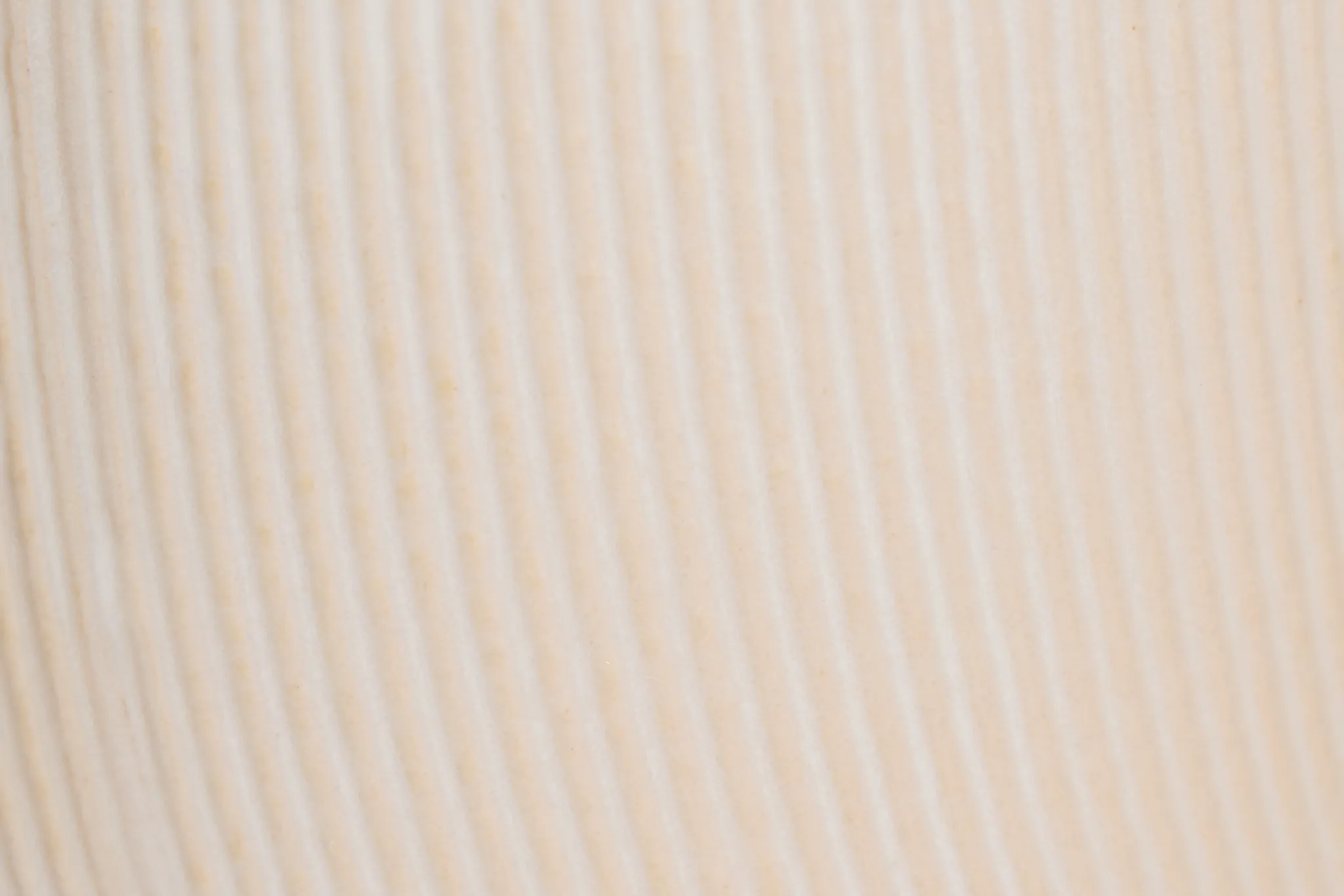 Elula Ivory Large Vase