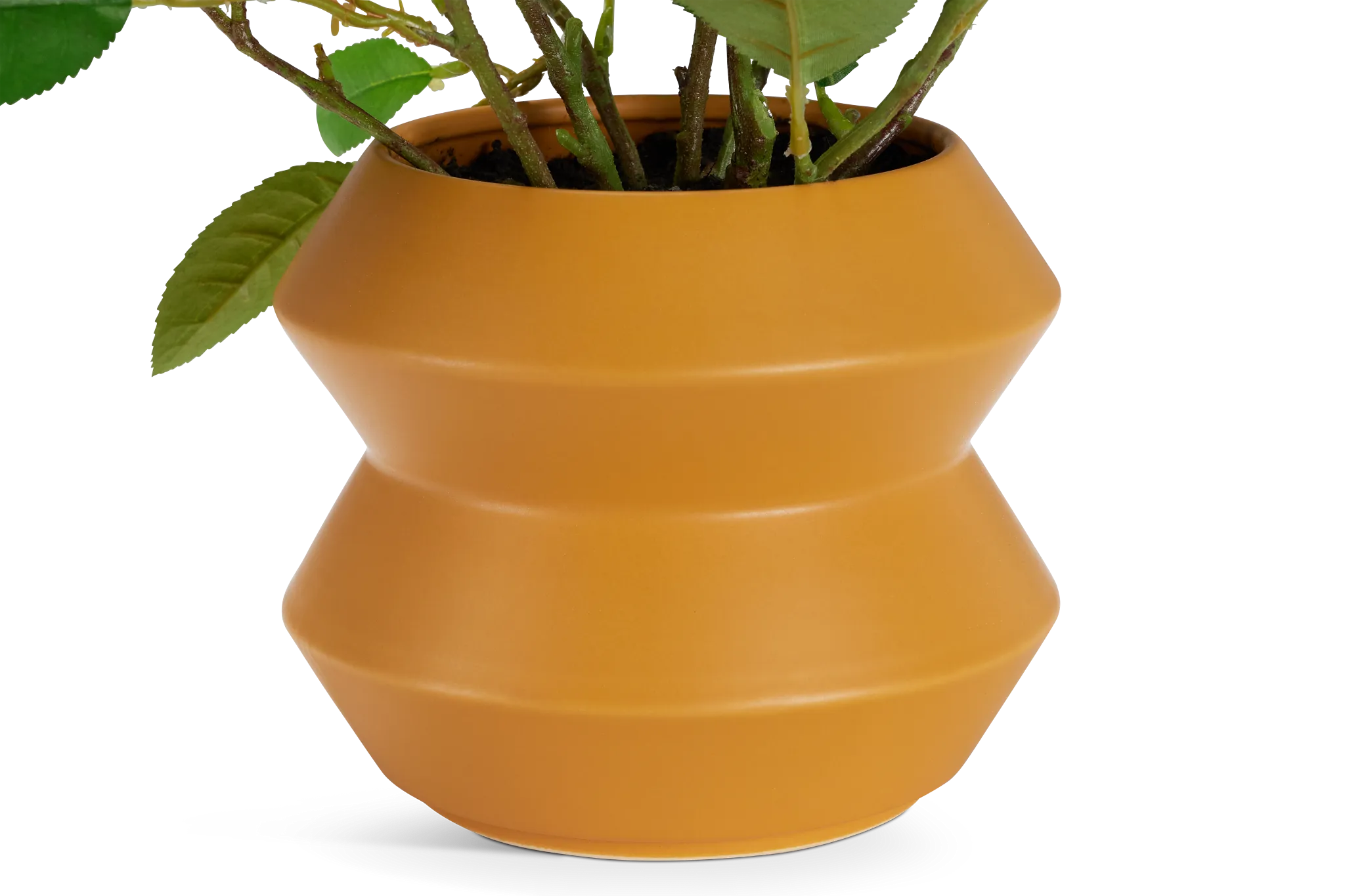 Lemonbranch 22" Greenery