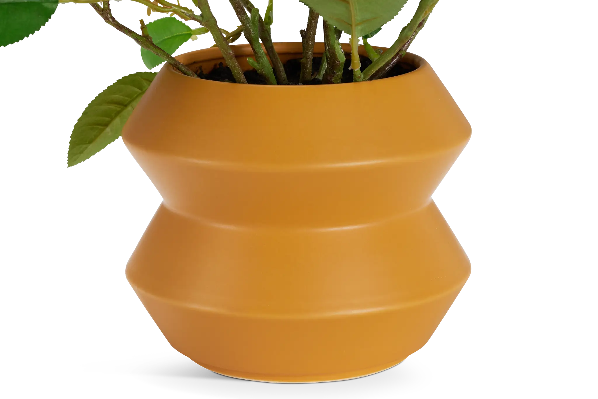 Lemonbranch 22" Greenery Lemonbranch 22" Greenery