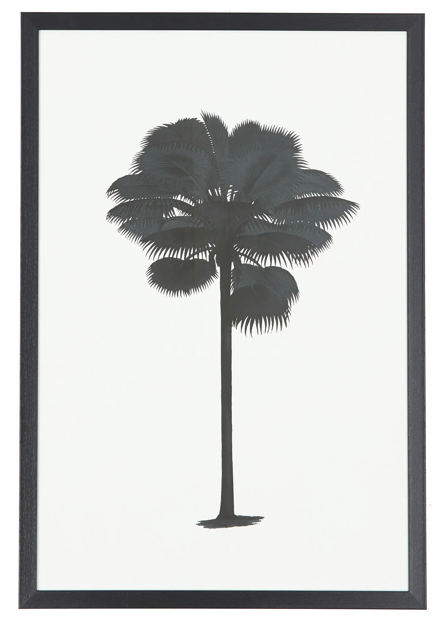 Kentia Black Framed Wall Art