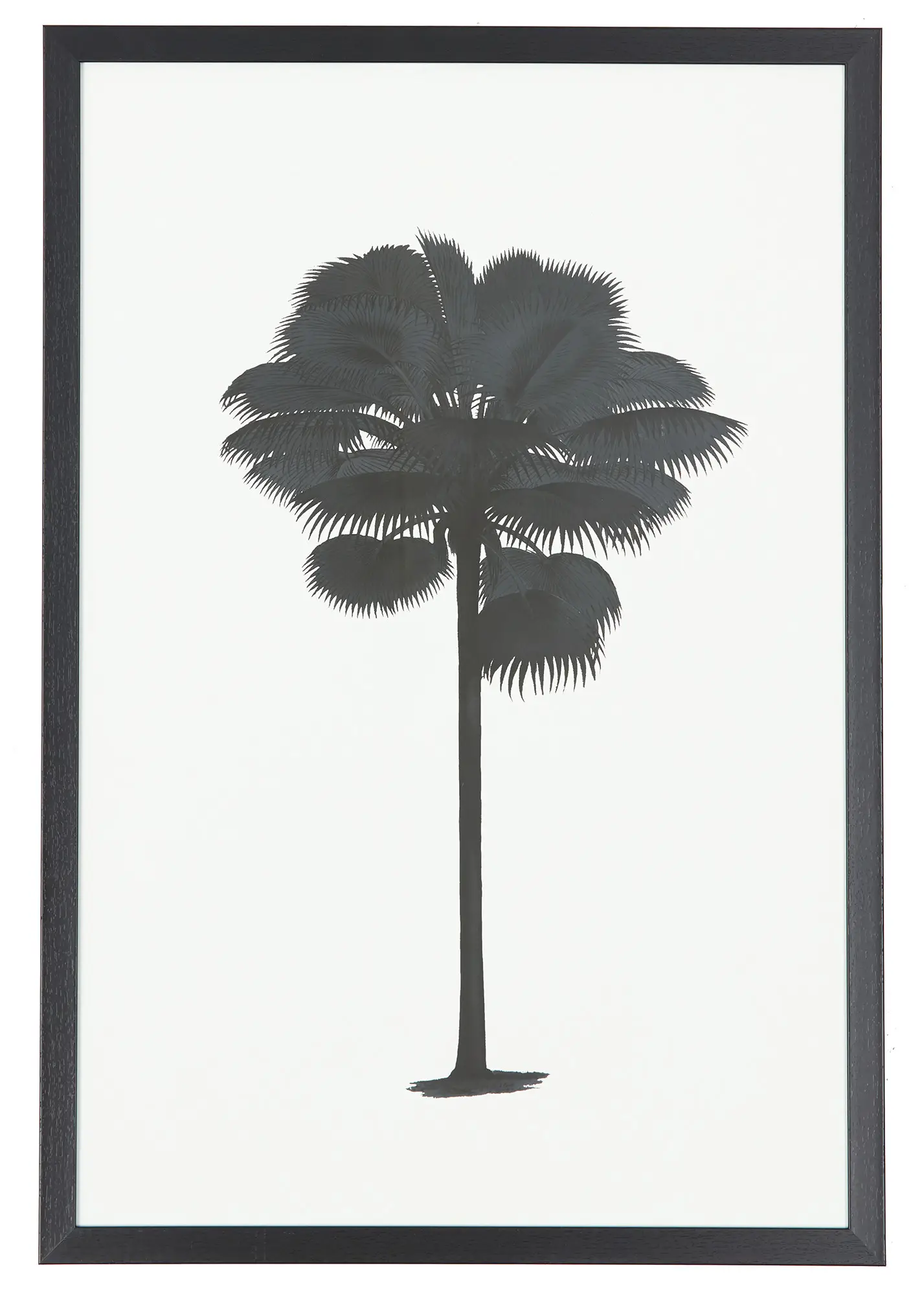 Kentia Black Framed Wall Art Kentia Black Framed Wall Art