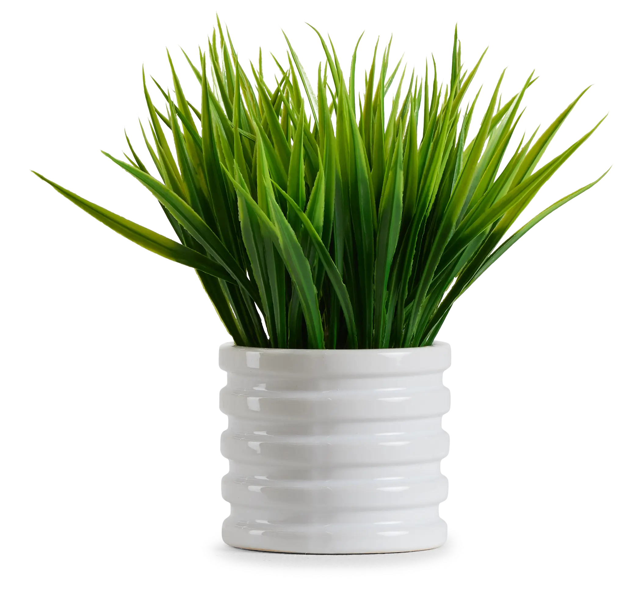 Water 12.5" Grass Water 12.5" Grass