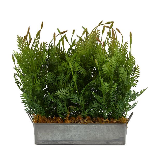 Fernleaf Cement Square Greenery