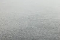 Lauran Gray 20" Accent Pillow