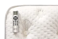 Aireloom Timeless Odyssey Streamline M1 15.5" Plush Mattress