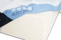 Serta Arctic Premier Plush 14.5" Hybrid Mattress