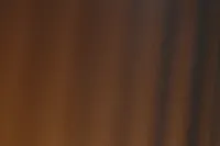 Elgin Brown Large Vase