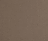 Captiva Joya Beige 60" Upholstered Shelter Bed