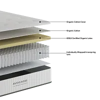 Avocado Eco Organic Organic 10.25" Tight Top Mattress