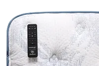 Perfect Sleeper Bay City Plush Baselogic Gold Adjustable Base Mattress Set