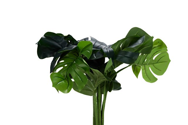 Monstera Deliciosa 20" Greenery