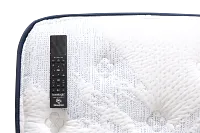Perfect Sleeper Decatur Street Plush Baselogic Platinum Adjustable Base Mattress Set