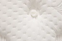 Aireloom Timeless Odyssey Streamline Lux 15.5" Firm Mattress