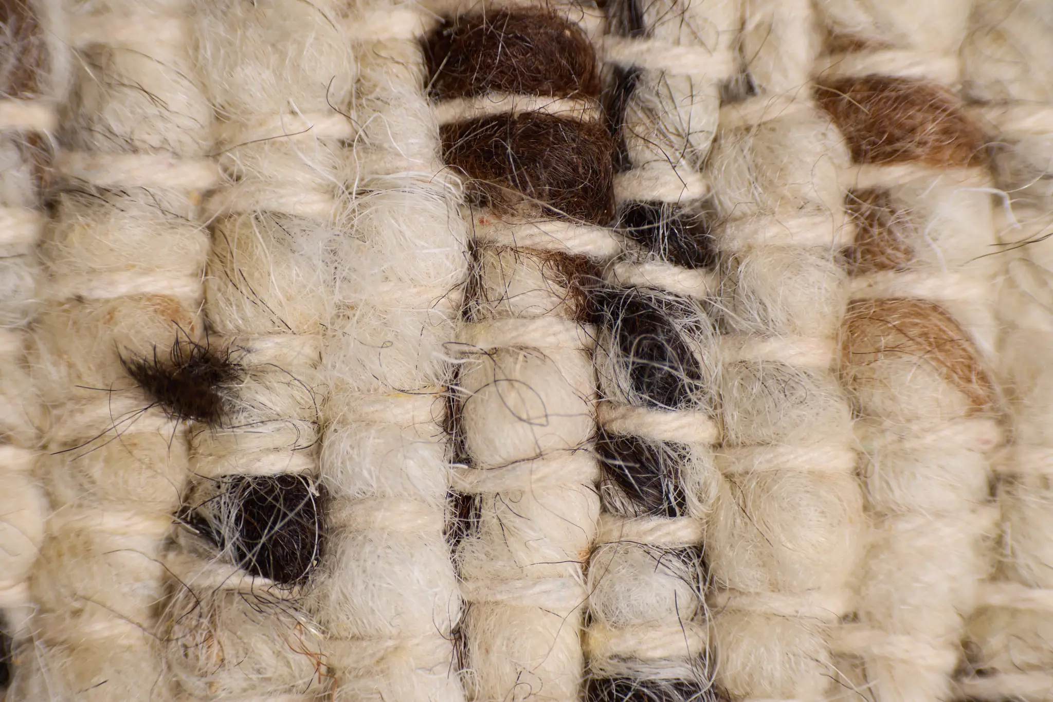 Juvias Ivory 8x10 Area Rug Juvias Ivory 8x10 Area Rug