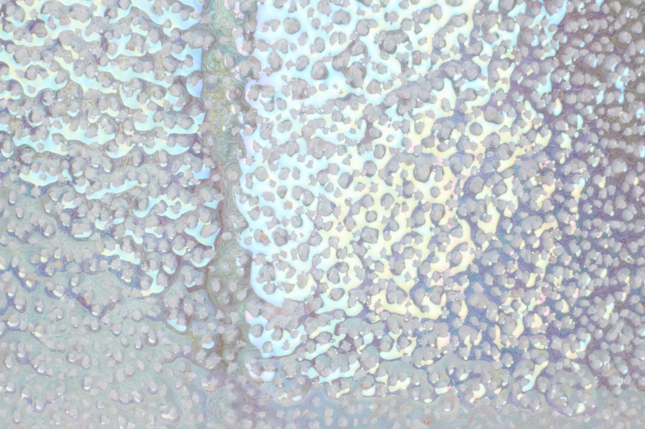 Silvia Large Silver Vase