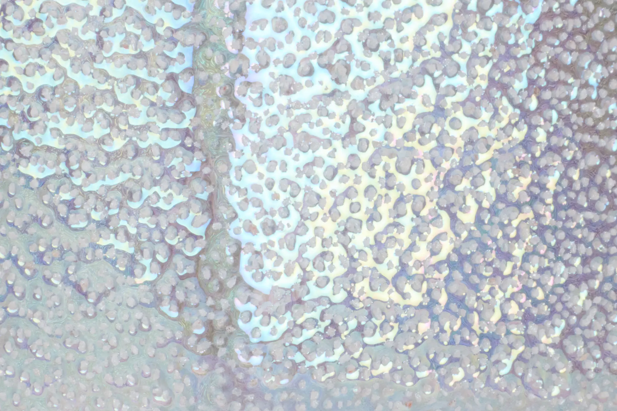 Silvia Large Silver Vase Silvia Large Silver Vase