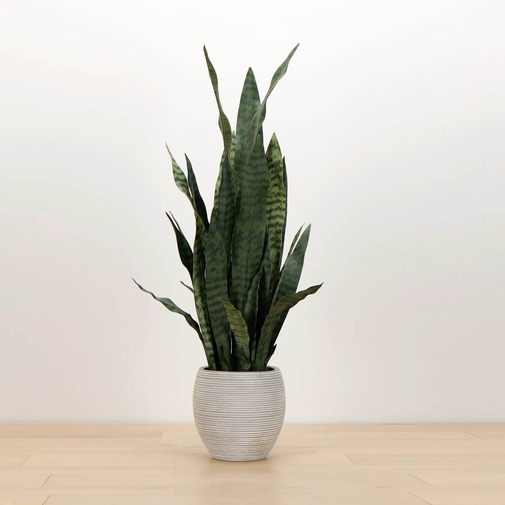 Snake 40" Greenery