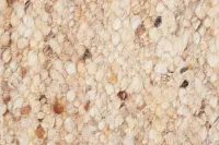 Alici Light Brown 5x8 Area Rug