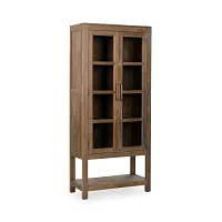Kang Dark Tone Door Bookcase