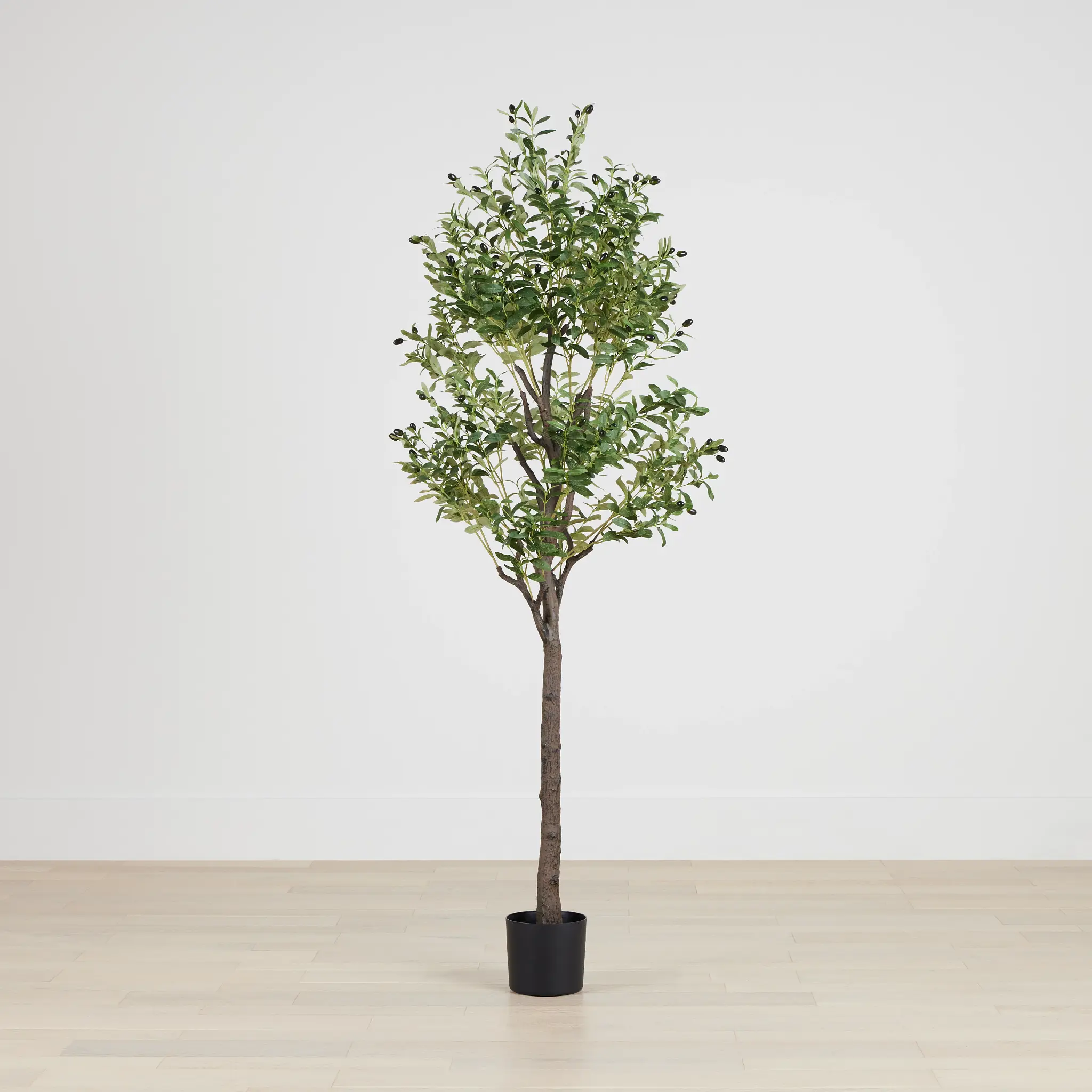 Olive Green 7' Tree Olive Green 7' Tree