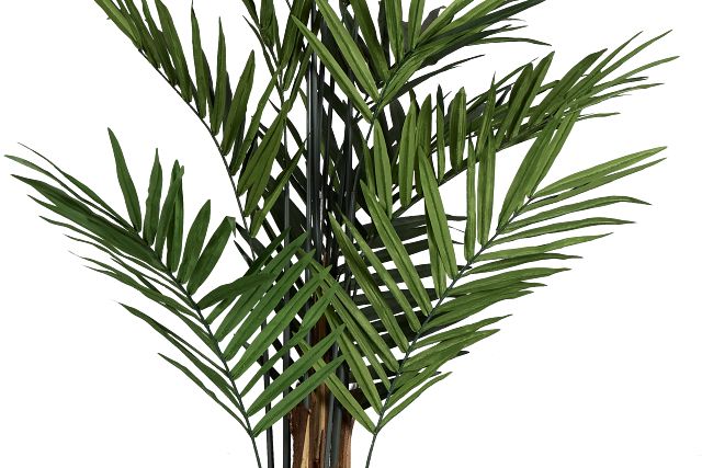 Koa 7' Palm