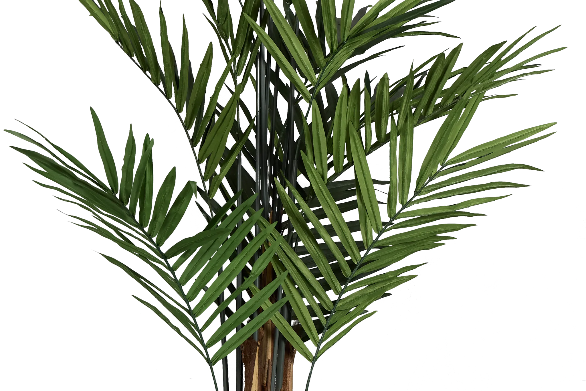 Koa 7' Palm