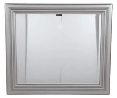 Coralayne Silver Mirror