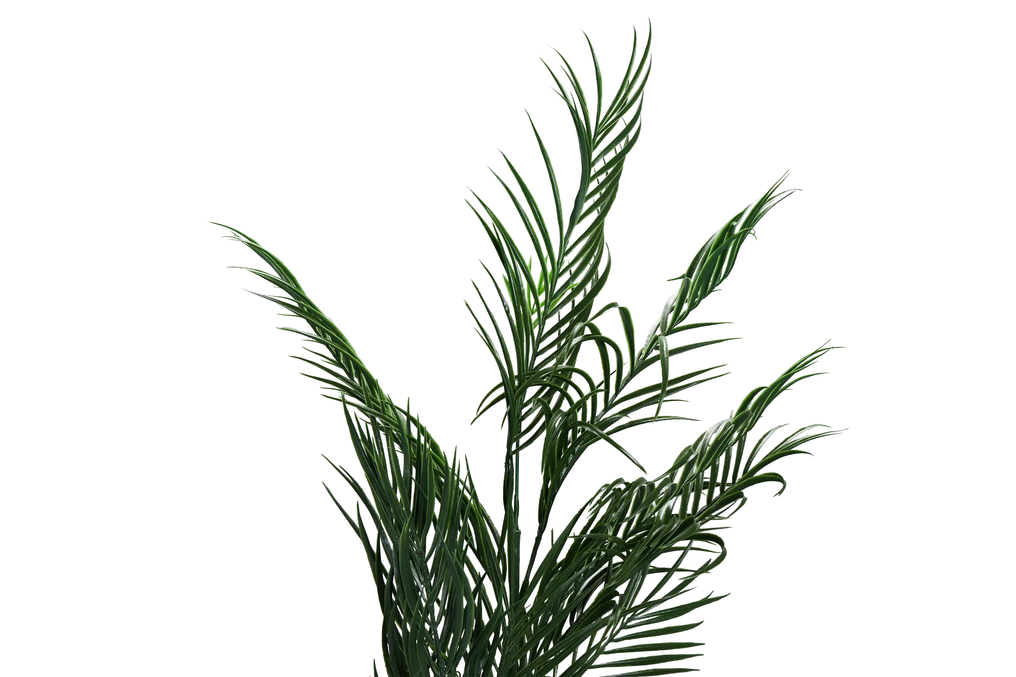 Potted Palm 48" Tree Potted Palm 48" Tree