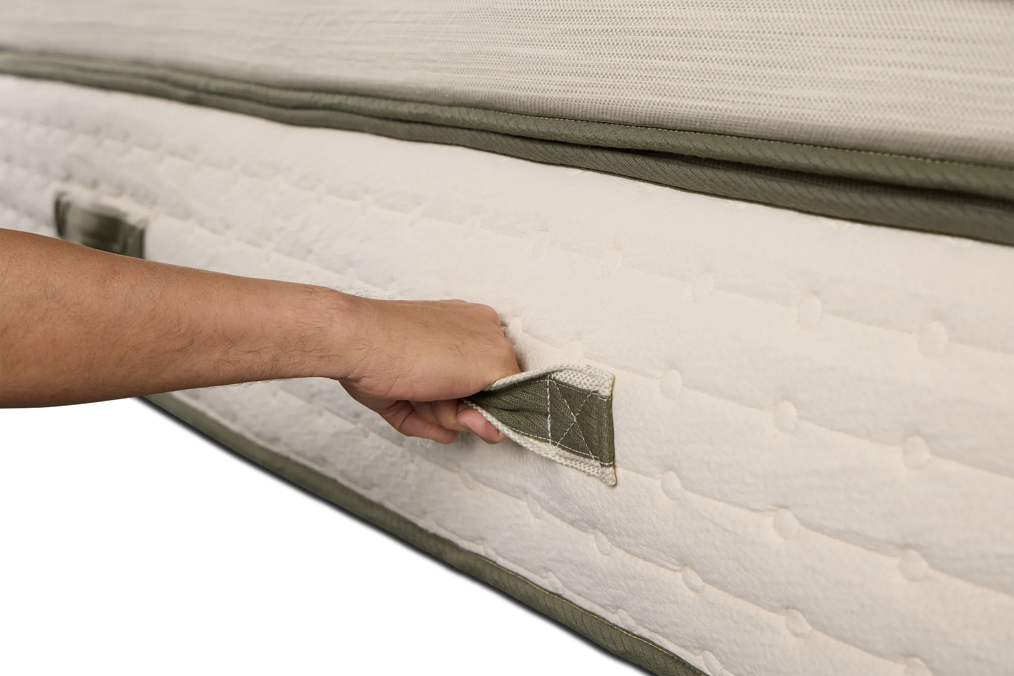 Avocado Green 15.50" Plush Box Top Mattress