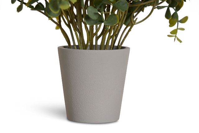 Eucalyptus Small Greenery