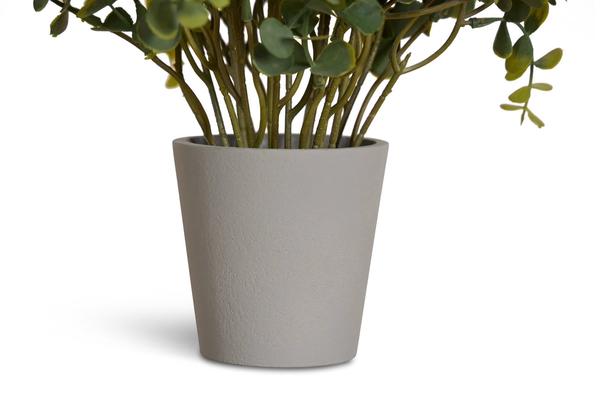 Eucalyptus Small Greenery