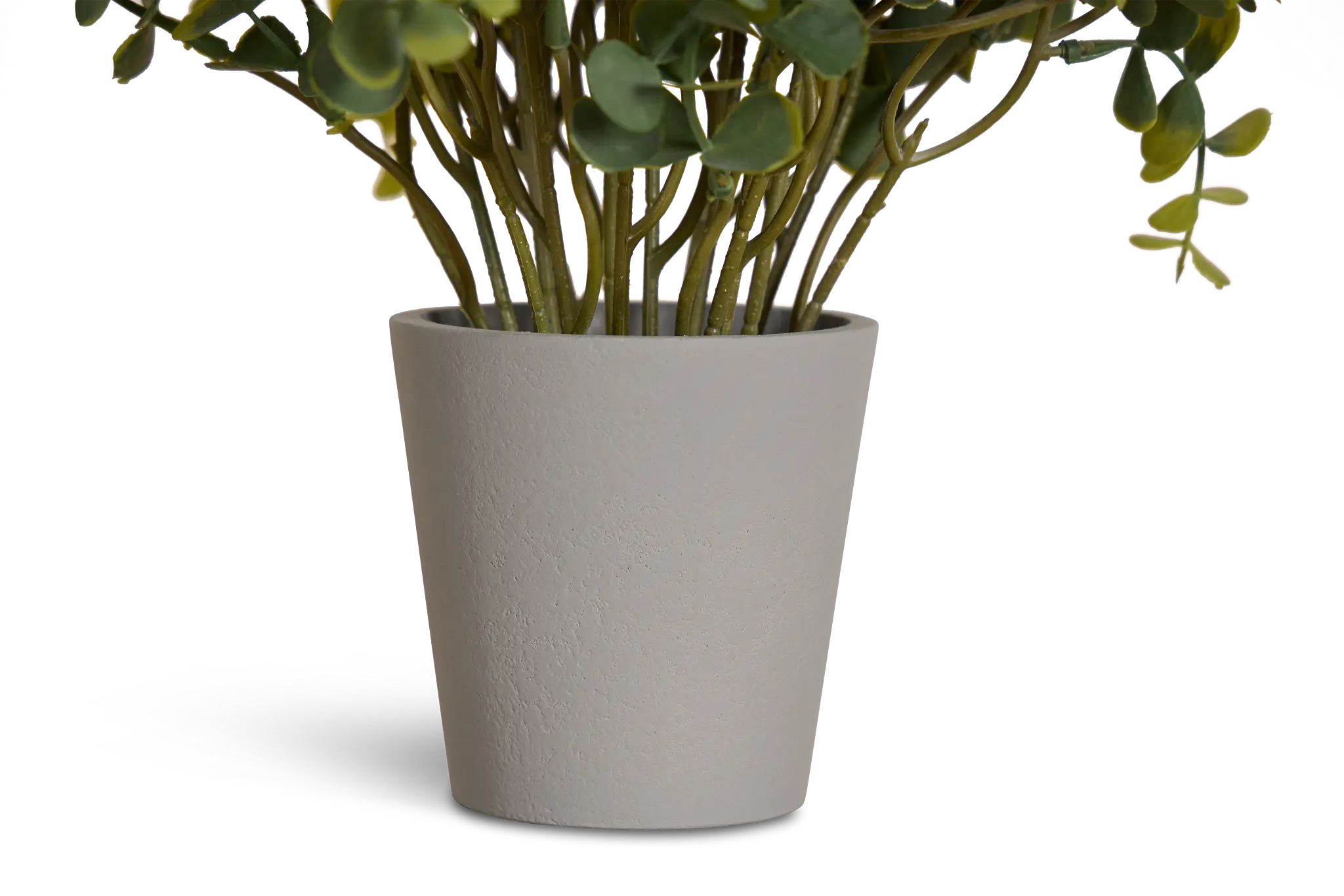 Eucalyptus Small Greenery Eucalyptus Small Greenery