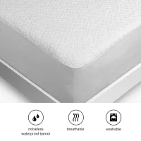 Dri-tec Mattress Protector
