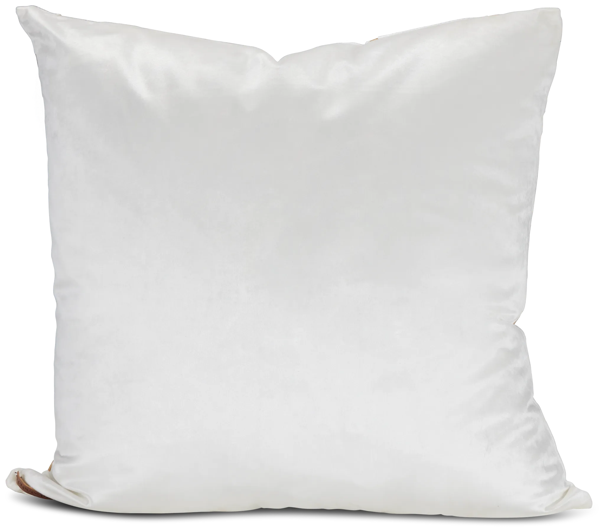 Liam Gold 22" Square Accent Pillow