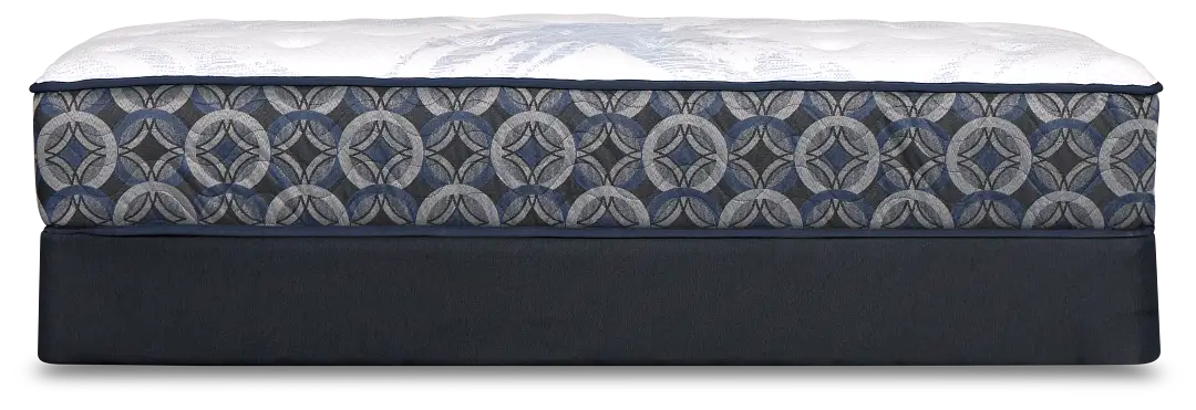 Perfect Sleeper Decatur Street Plush Mattress Set Perfect Sleeper Decatur Street Plush Mattress Set