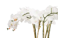 Orchid White 35" Floral Arrangement