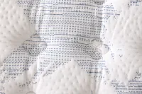 Perfect Sleeper Bay City Extra Firm Mattress Set