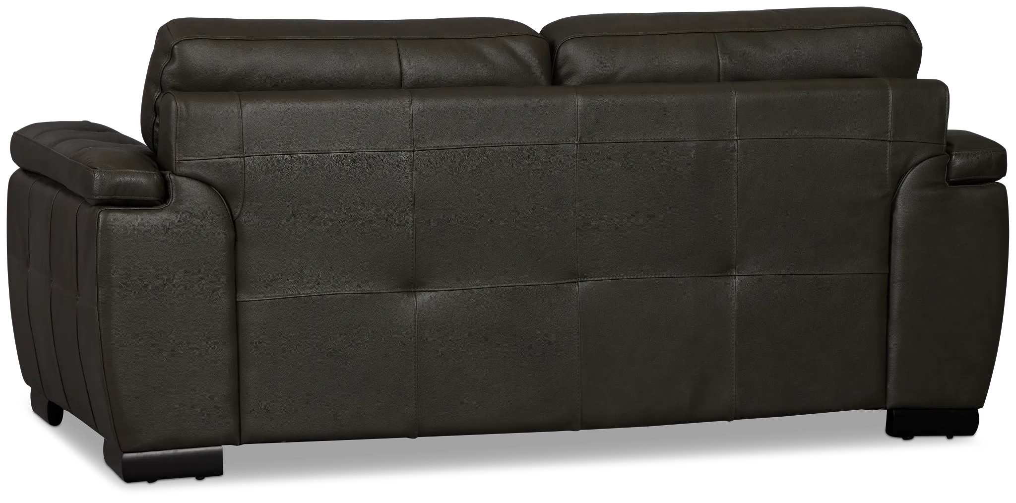 Braden Dark Gray Leather Loveseat