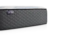 Kevin Charles By Sealy Signature 14.5" Extra Firm Tight Top Mattress