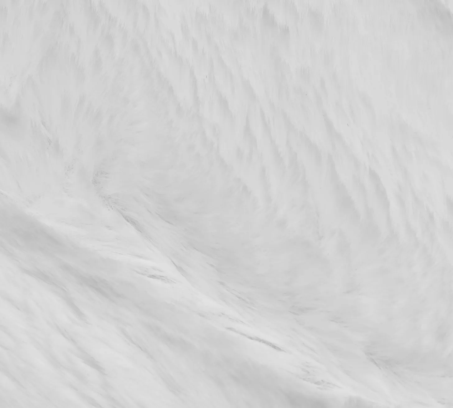 Kaycee White 2x3 Area Rug