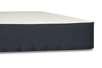 Perfect Sleeper Bay City Plush Mattress Set