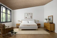 Avocado Eco Organic Organic 10.25" Tight Top Mattress