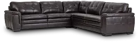 Braden Dark Brown Leather Small Two-arm Sectional